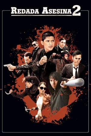 The Raid 2: Berandal