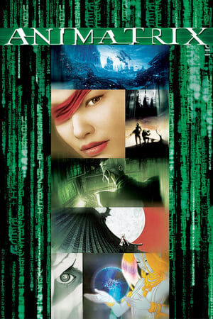 The Animatrix