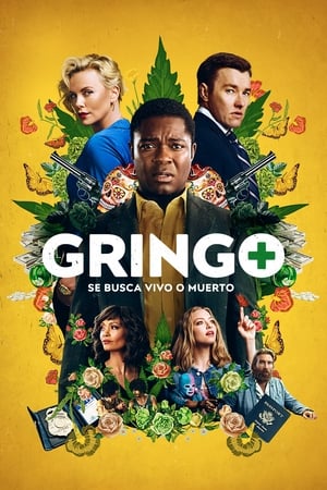 Gringo