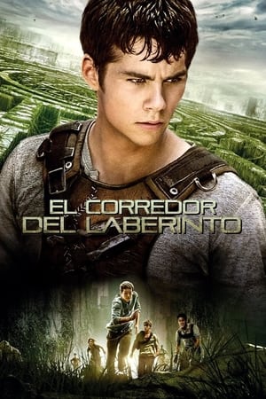 The Maze Runner