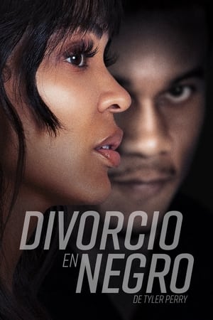 Tyler Perry's Divorce in the Black