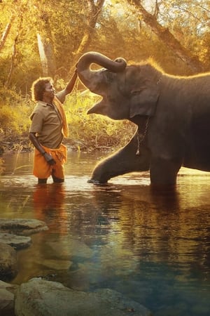 The Elephant Whisperers