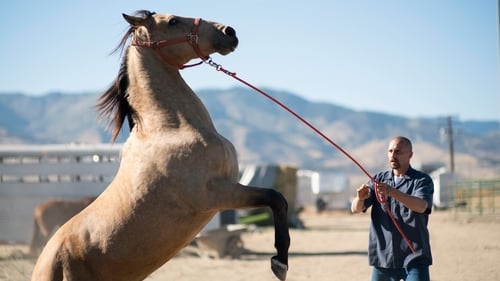 Mustang: La rehabilitación (2019)