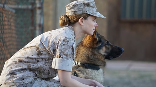 Megan Leavey (2017)