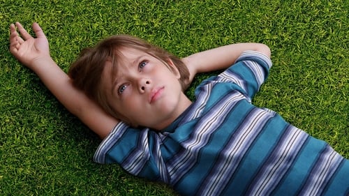 Boyhood (Momentos de una vida)