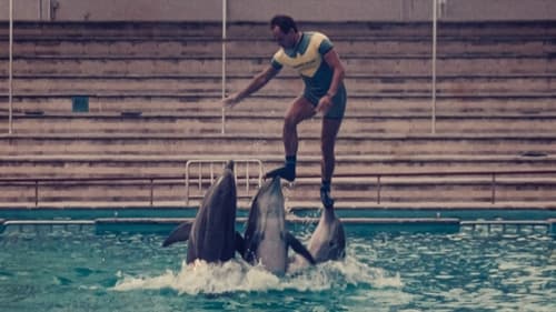 Qué le pasó al rey de los delfines