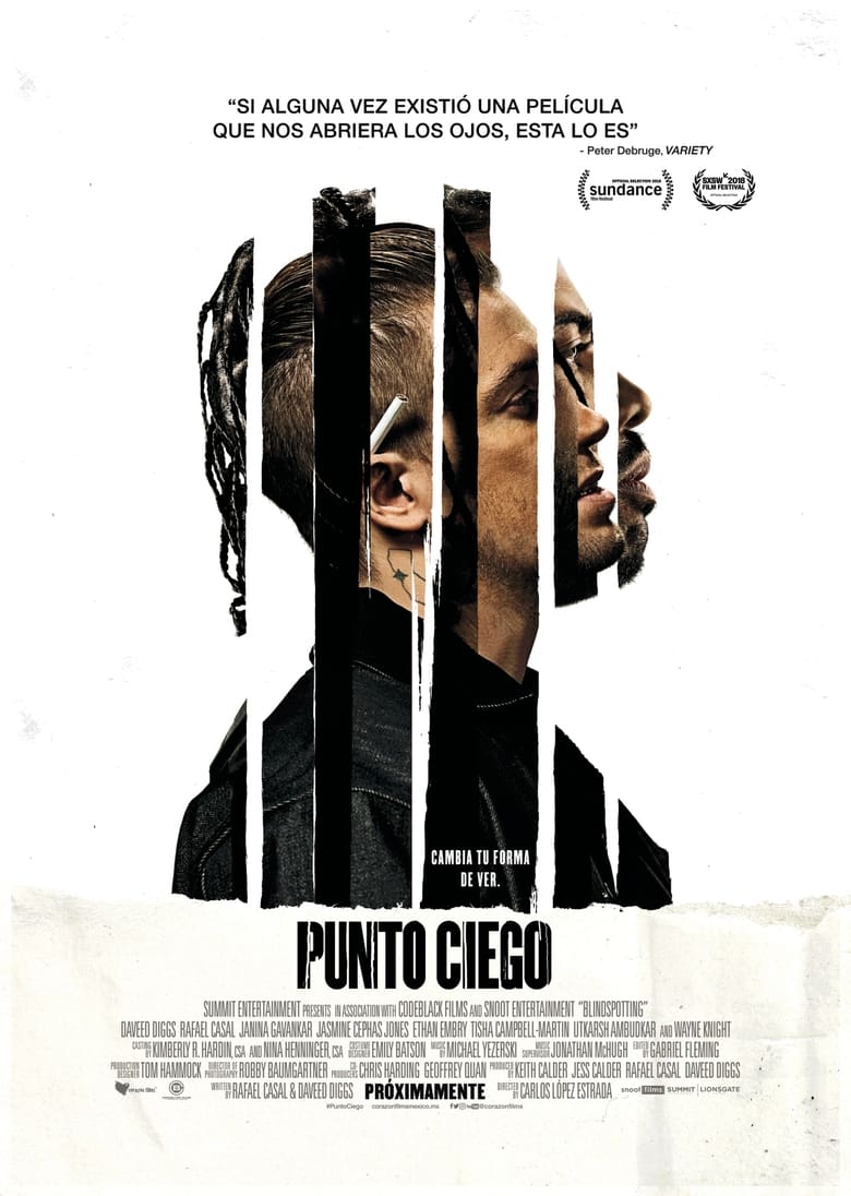 Punto ciego (2018)